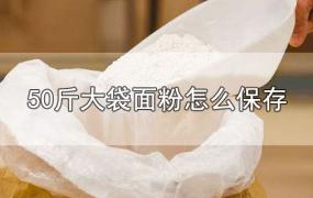 50斤大袋面粉怎么保存