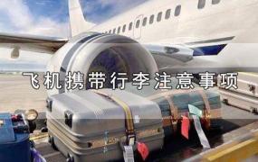 飞机携带行李注意事项
