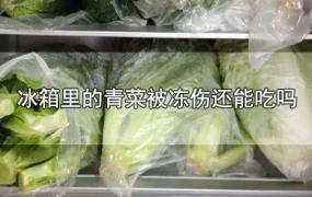 冰箱里的青菜被冻伤还能吃吗