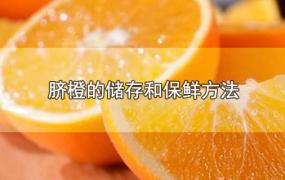 脐橙的储存和保鲜方法
