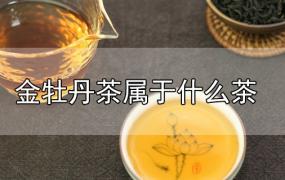 金牡丹茶属于什么茶