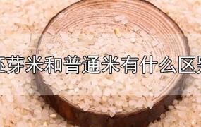 胚芽米和普通米有什么区别