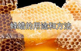 蜂蜡的用途和方法