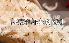 虾皮和虾米的区别