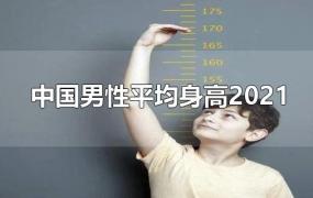 中国男性平均身高2021