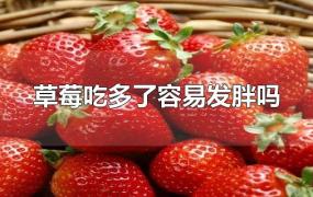 草莓吃多了容易发胖吗