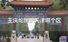 王庆坨属于天津哪个区