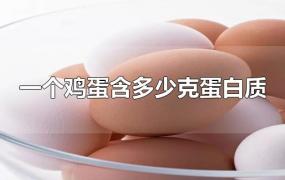 一个鸡蛋含多少克蛋白质