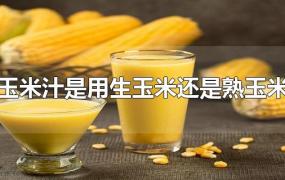 玉米汁是用生玉米还是熟玉米