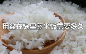用盆在锅里蒸米饭需要多久