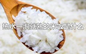 热水一泡就熟的米饭是什么
