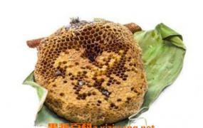 蜂房的功效与作用及药用价值