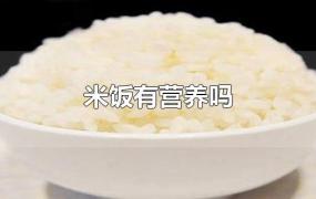 米饭有营养吗