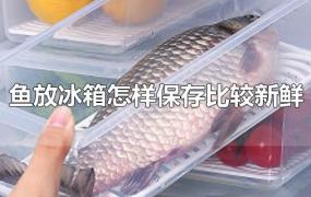 鱼放冰箱怎样保存比较新鲜