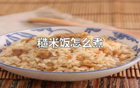 糙米饭怎么煮