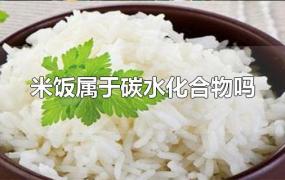 米饭属于碳水化合物吗