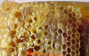 黑蜂巢蜜的作用与功效及食用方法