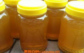 桉树蜜的作用与功效 桉树蜜的食用方法