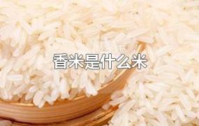 香米是什么米