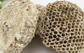 露蜂房和蜂房的区别 露蜂房的药用价值