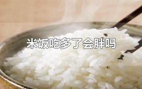 米饭吃多了会胖吗