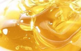 土黄连蜂蜜的作用与功效