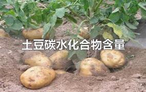 土豆碳水化合物含量