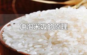 冲泡米饭的原理
