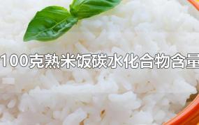 100克熟米饭碳水化合物含量