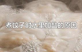 煮饺子时水里加盐的原因