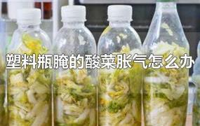 塑料瓶腌的酸菜胀气怎么办