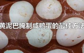 黄泥巴腌制咸鸭蛋的最佳方法