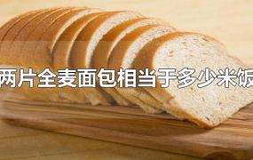 两片全麦面包相当于多少米饭
