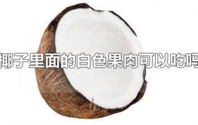 椰子里面的白色果肉可以吃吗