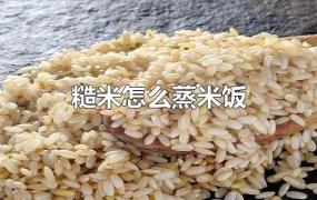 糙米怎么蒸米饭
