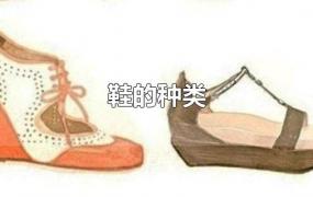 鞋的种类