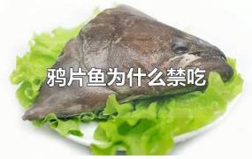 鸦片鱼为什么禁吃