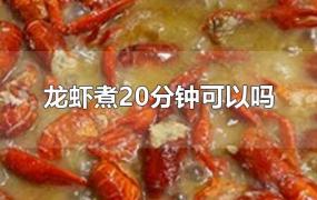 龙虾煮20分钟可以吗