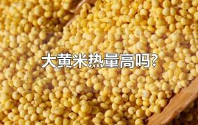 大黄米热量高吗?