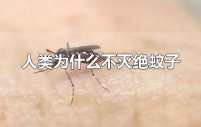 人类为什么不灭绝蚊子