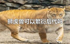 狮虎兽可以繁衍后代吗