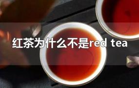红茶为什么不是red tea