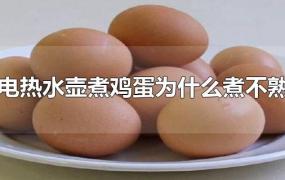 电热水壶煮鸡蛋为什么煮不熟
