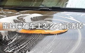 蜜蜂屎在车上怎么才能洗掉