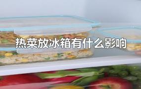 热菜放冰箱有什么影响