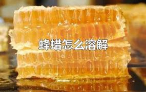 蜂蜡怎么溶解