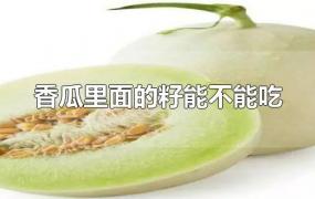 香瓜里面的籽能不能吃