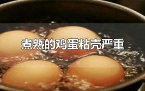 煮熟的鸡蛋粘壳严重