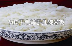 500千焦等于几碗米饭