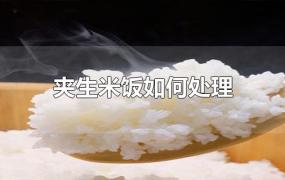 夹生米饭如何处理